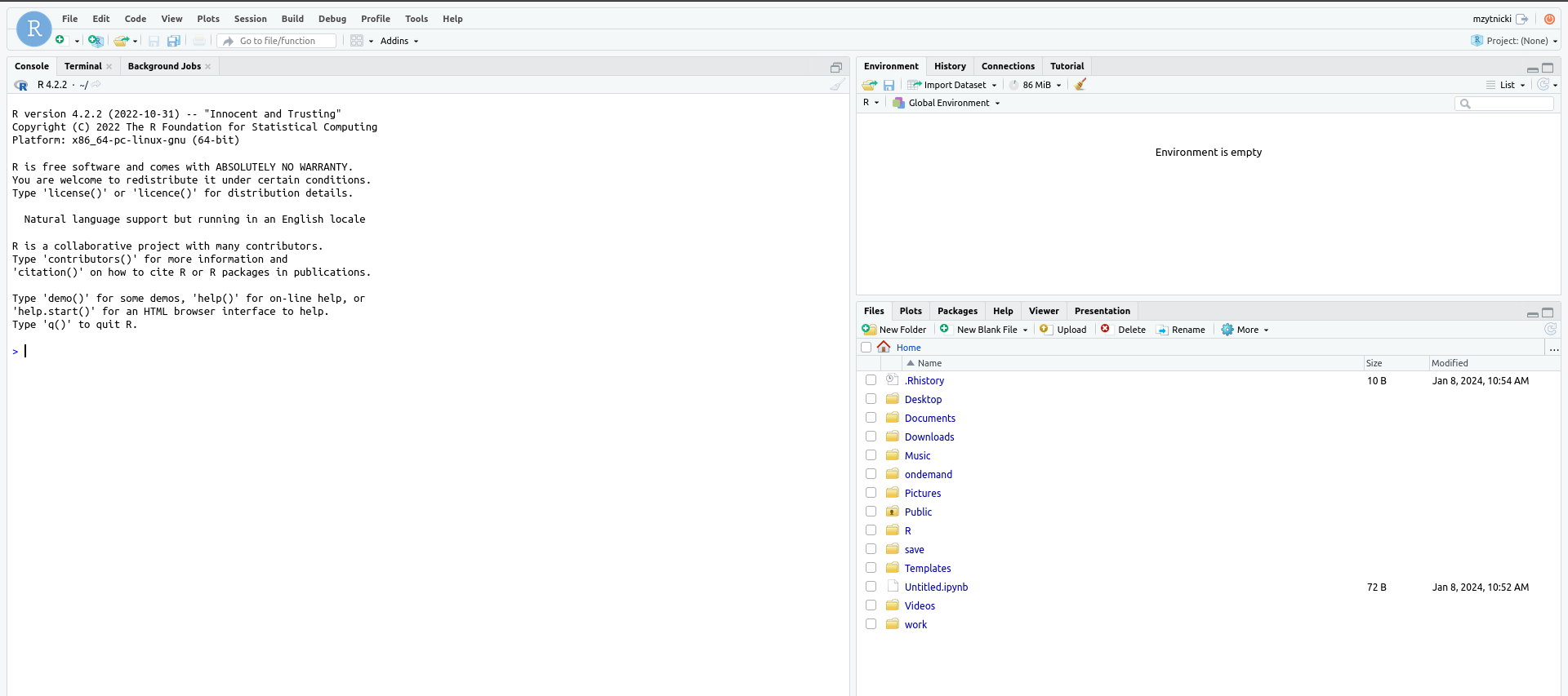 RStudio page